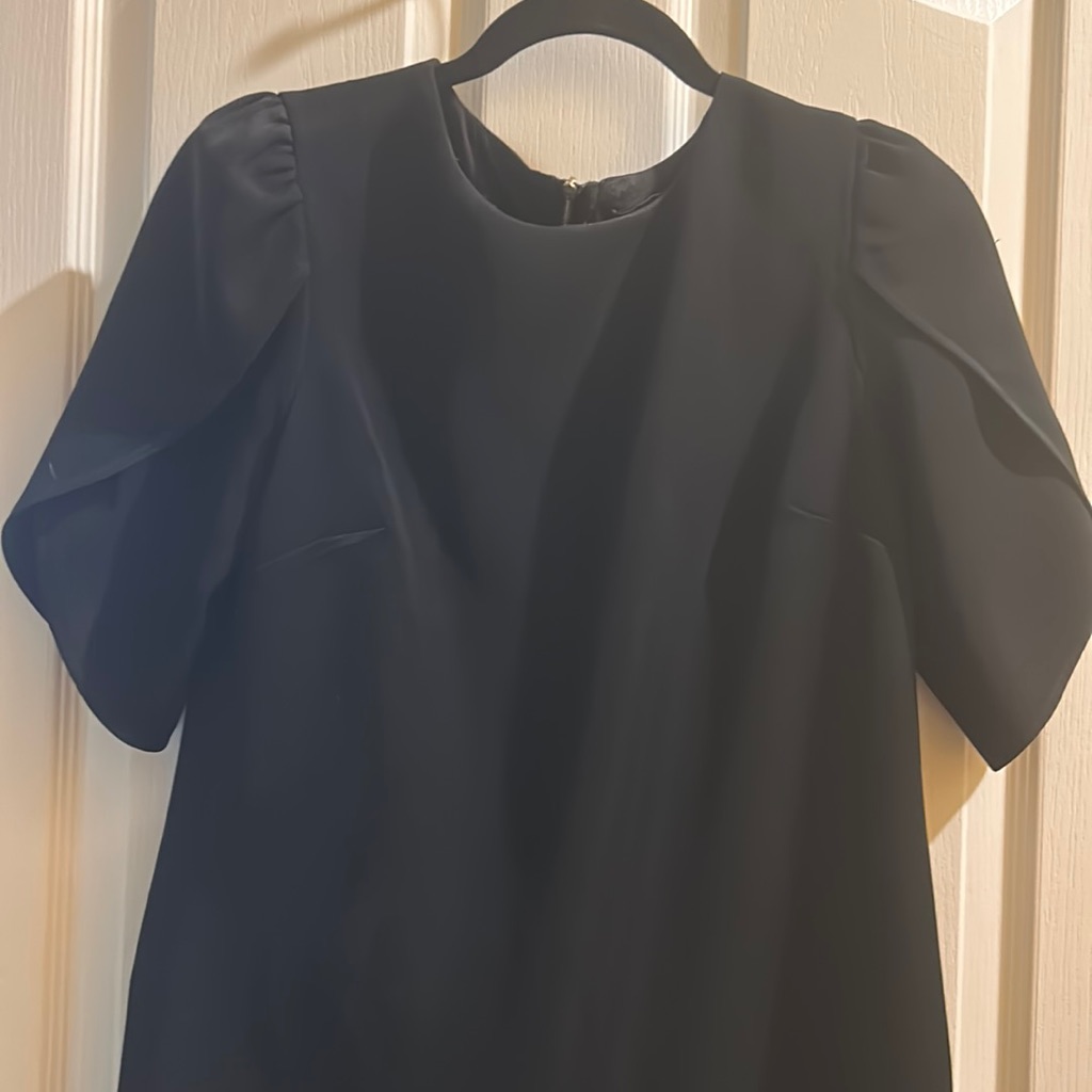 Cynthia Steffe Dress 423